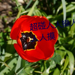 超碰人人操人人亲人人摸人人搞人人摸 （幻象）