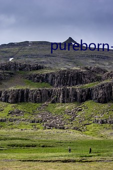 pureborn-hd