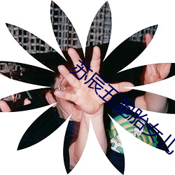 苏辰五胞胎女(nǚ)儿