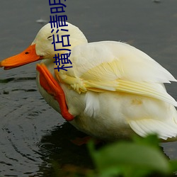 金年会 | 诚信至上金字招牌