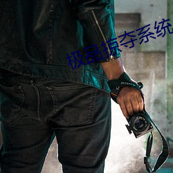 極品掠奪系統