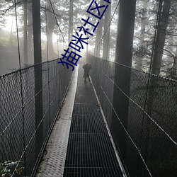 貓咪社區網址