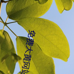 免费大黄网(wǎng)站