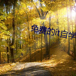 免费的it自学网站