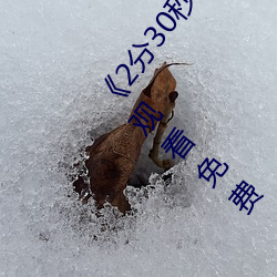 《2分(分)30秒不间断踹息声音(音)频mp3在线听》影(影)视(視)在线(線)观看(看)免费(費)