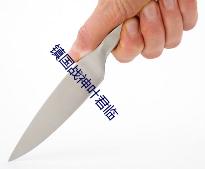 镇国战神叶君临(lín)