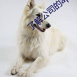 了(了)解公司的(的)app
