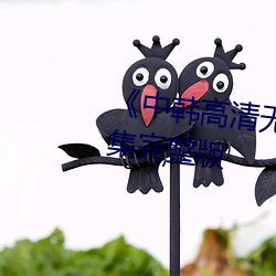 韩高清无רש马区2022全集完整版