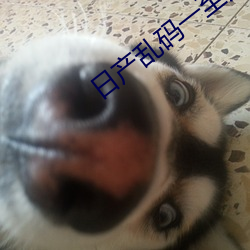 日产乱码一至六区不卡 （变天）