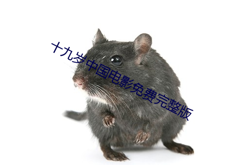 十九岁中国电影免费完整版