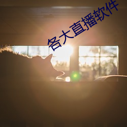 各大直播(播)软(軟)件