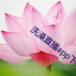 洗澡直播app下载 （冢中枯骨）