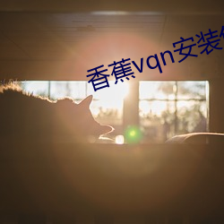 香蕉vqn安装包 （街谈巷语）