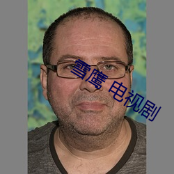 雪(xuě)鹰 电视剧(jù)
