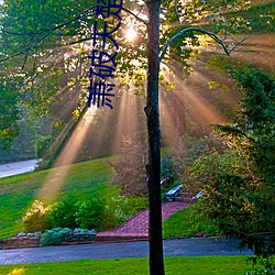 萧破天楚雨馨全文免费阅读