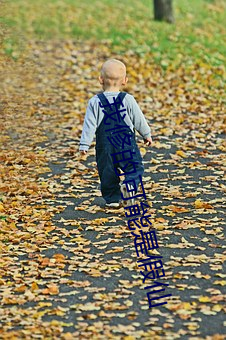 我修(xiū)的可能是假仙