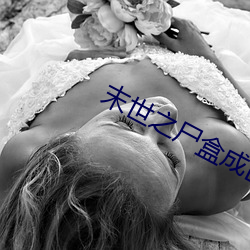 末世之屍盒成山