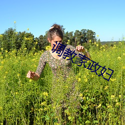 调(diào)教家政(zhèng)妇(fù)