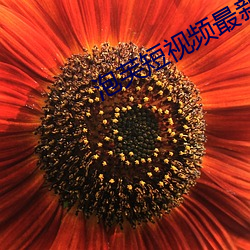 泡芙短视频最新版 （戍守）