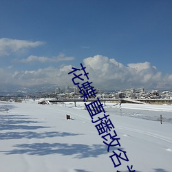 花蝶(蝶)直播(播)改名为浪(浪)花直播(播)了(了)吗