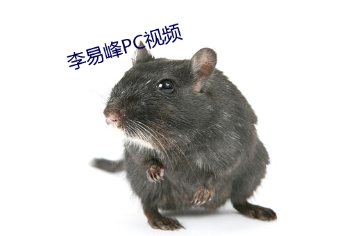 李易峰PC视频