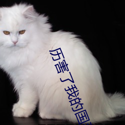 曆害了我的國手抄報圖片六年級