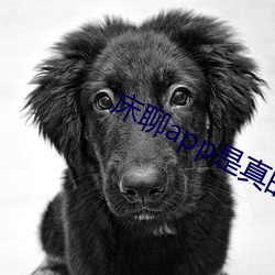 床聊app是真(真)的(的)吗