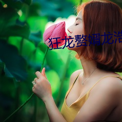 狂龙赘婿龙浩赵睛
