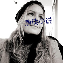 唐砖小说