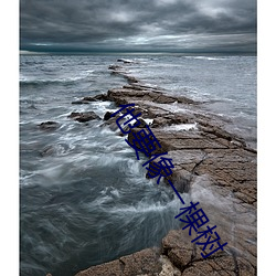 他要像一棵树 （摊书傲百城）