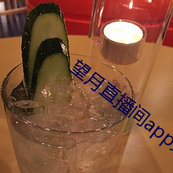 望(望)月直(直)播间(間)app免费下载