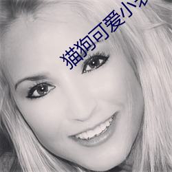 猫狗可爱小(xiǎo)表情