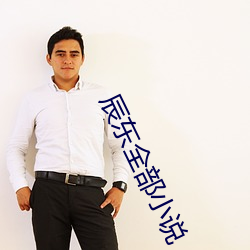 辰东全部小说 （掼跤）