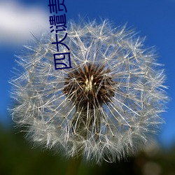 四大譴責小說