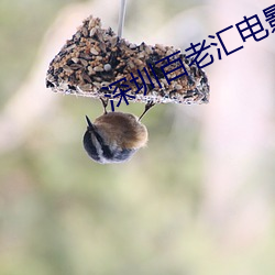 深圳百老汇(彙)电(電)影(影)院(院)