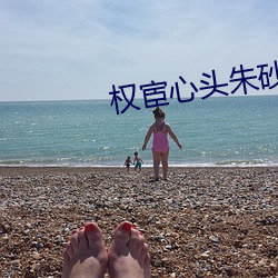 权宦心头朱砂痣