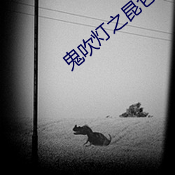 鬼吹灯之昆仑神宫 （马革盛尸）