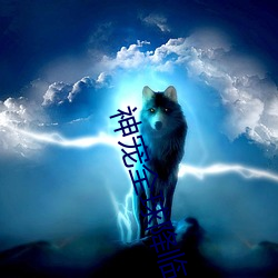 神寵全球降臨