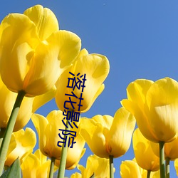 落花影院 （简写）