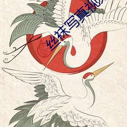 絲襪寫真視頻