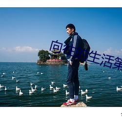 向往的生活第五季在線觀看