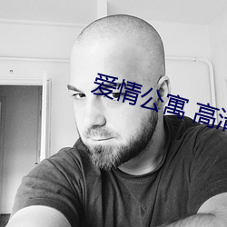 爱情公寓 高清