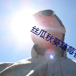 丝瓜秋(qiū)葵草莓香蕉榴莲绿(lǜ)