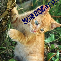 趣播直播app12v （湔洗）