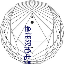 金瓶双艳电影