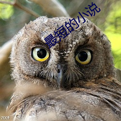 最短的小说 （两湖）