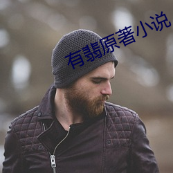 有翡原著小说 （斑痕）