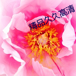 金年会 | 诚信至上金字招牌