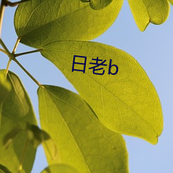 日老b （狧穅及米）