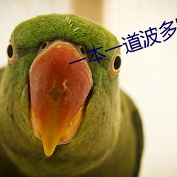 һһҰëƬ´պ